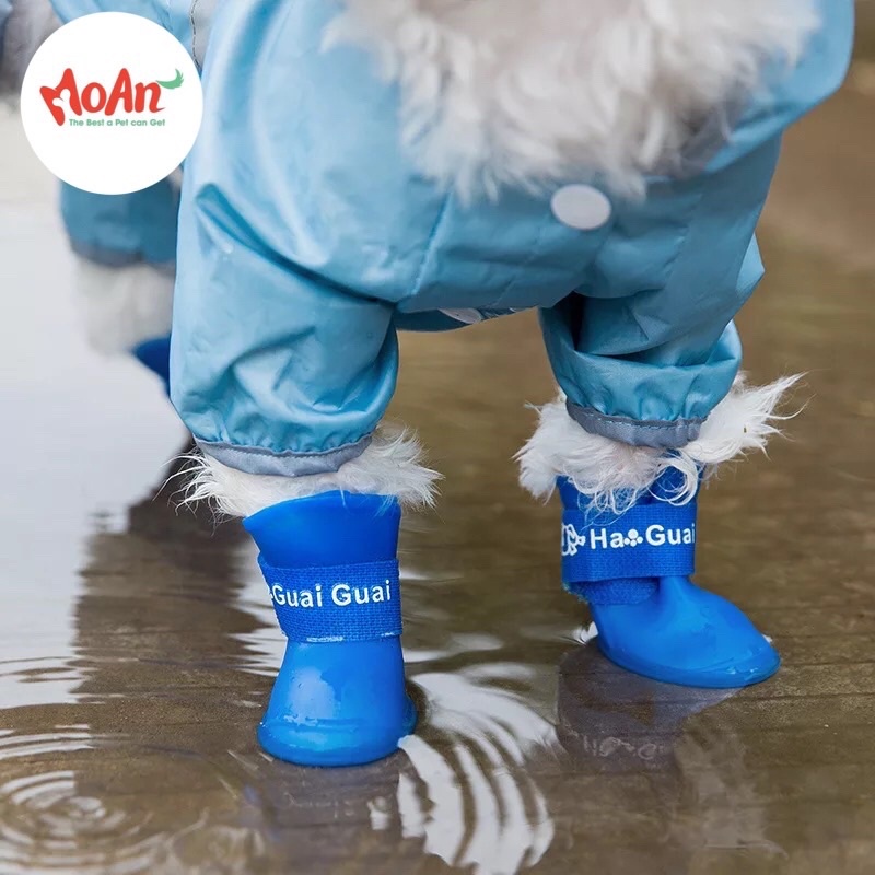 Giày chống nước chó mèo