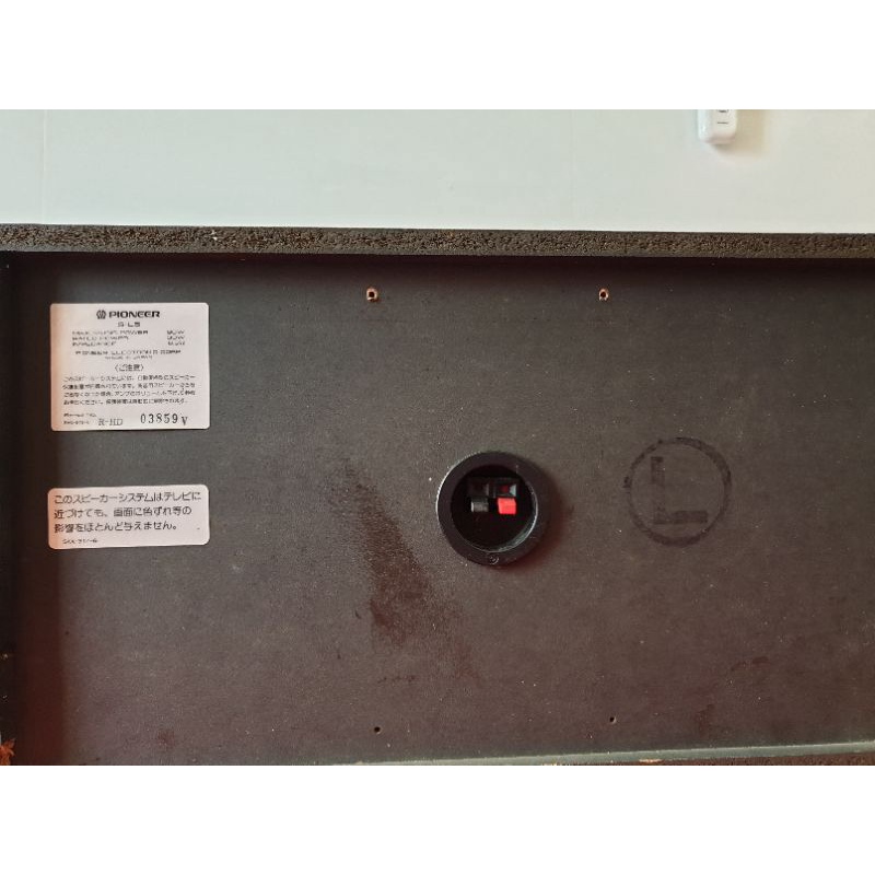 Loa đa năng  Pioneer S--L5