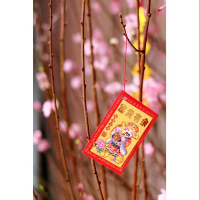Sét 50 bao lì xì kèm dây treo trang trí Tết 6.5x9.5