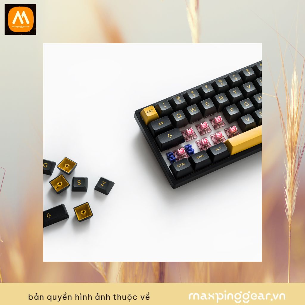 Bàn phím cơ AKKO 3068B Plus Black&Gold