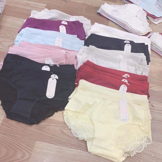 Bán sỉ quần chip cotton pha ren 1483