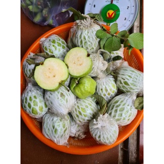 Ổi nữ hoàng 1kg