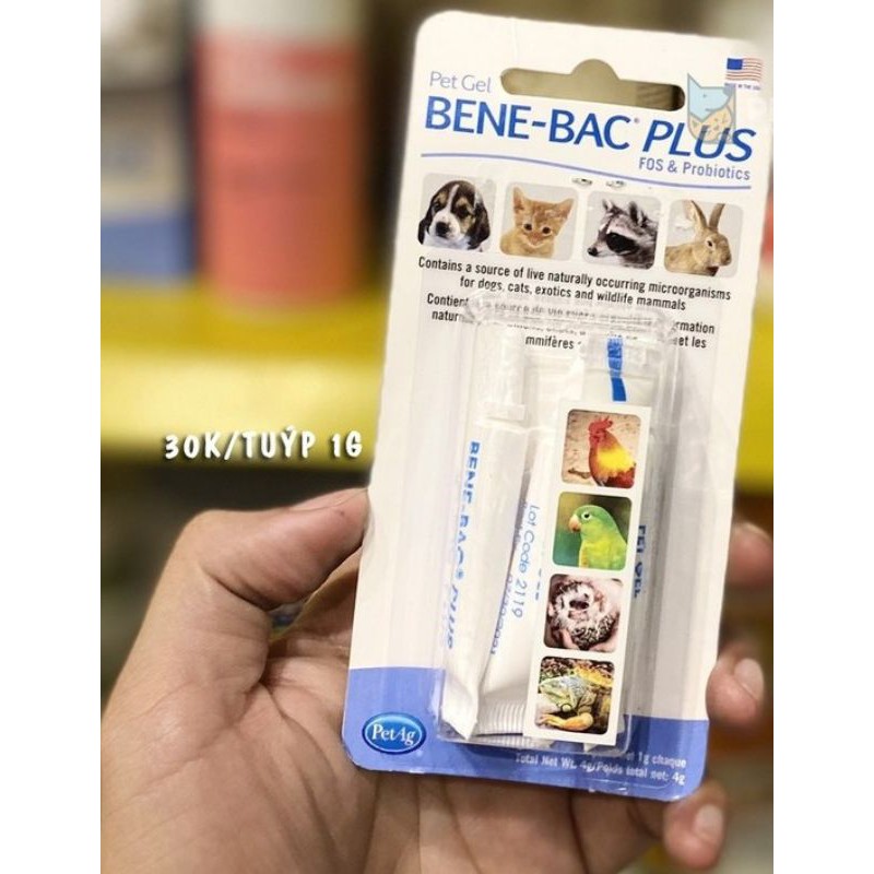 1tuýp gel bene bac plus men tiêu hoá cho chó mèo , chim thỏ