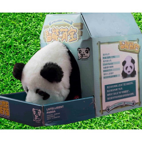 [Hàng sẵn + ảnh thật] Gấu trúc thông minh phát nhạc, Panda điều khiển remote, Thú bông phát nhạc thông minh, Panda music