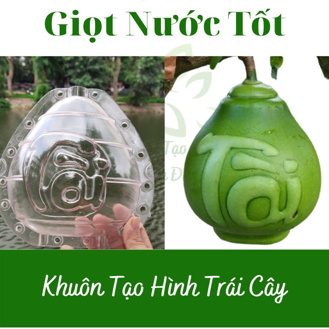 (Chữ Tài Lộc)(Bưởi 1-1,4kg) Khuôn Giọt Nước Cứng dày dặn, hàng loại đẹp - Khuôn Tạo Hình Trái Cây Dùng Nhiều Vụ