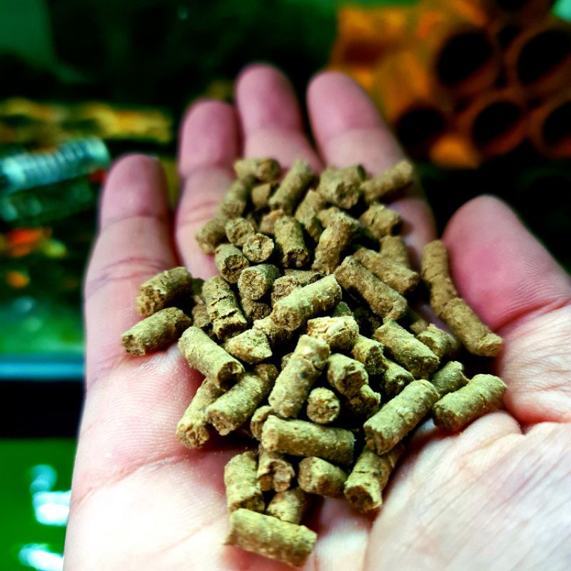 Thức ăn cho tép cảnh viên rau bina gói 50gr