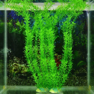 Cỏ nhân tạo trang trí bể cá