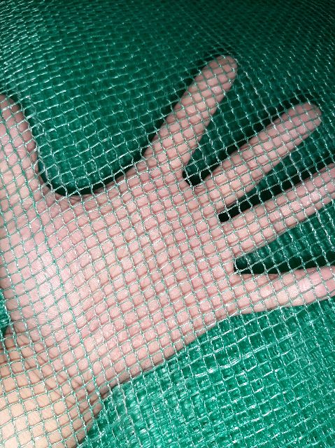 Lồng nuôi cá trê đồng