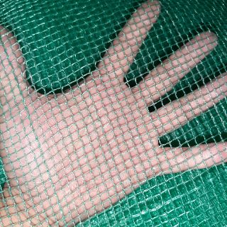 Lồng nuôi cá trê đồng