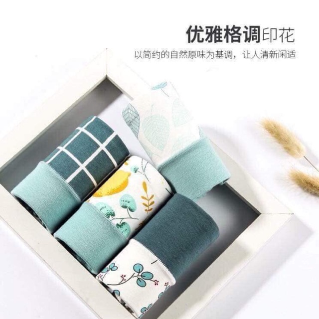 Combo quần chip chị Bình