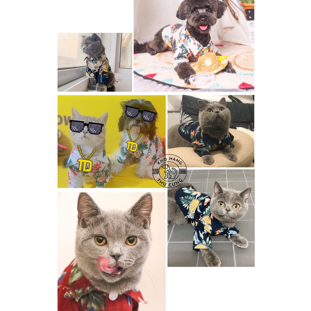 ÁO SƠ MI HOA DỨA- TRẮNG (Size từ 1- 40kg)