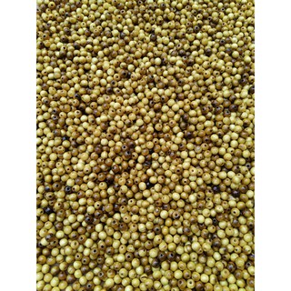 100g hạt gỗ dâu tằm