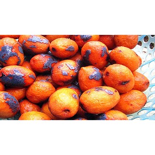đặc sản  quả  cọ phú thọ