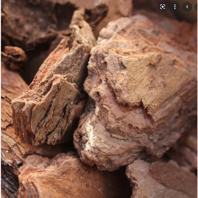 Vỏ Thông Mỹ Trồng Lan Gói 1dm