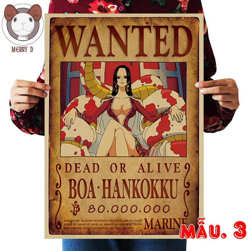 Poster 51x36cm One Piece Shichibukai Vintage - Hình Thất Vũ Hải Vua Hải Tặc - Mihawks, Doffy, Hancock, Kuma, Law,...