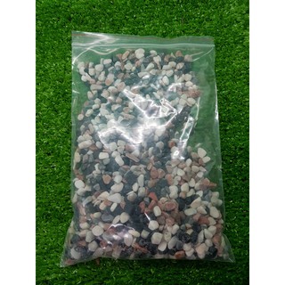 Sỏi màu trang trí 1Kg ( Sỏi trung)