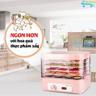 Máy sấy hoa quả TORSOM TS-D2