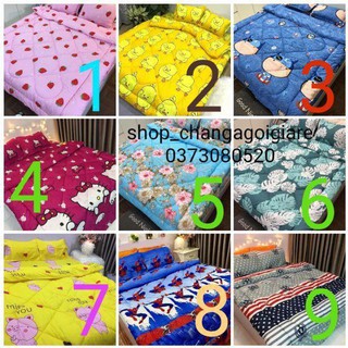 Bộ ga gối chăn phao 5 món poly cotton