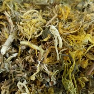 [FREESHIP 99K TOÀN QUỐC] 1 kg kim ngân hoa khô
