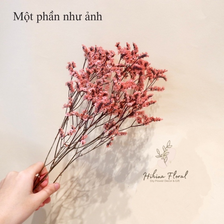 Hoa Khô Limonium Trắng Cắm Thả Bình Trang Trí Bàn Làm Việc, Nhà Cửa