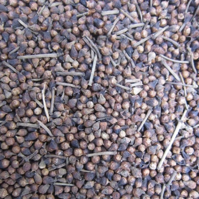 1 kg nụ vối khô
