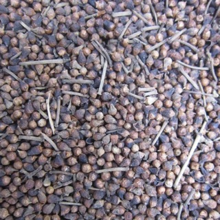 1 kg nụ vối khô