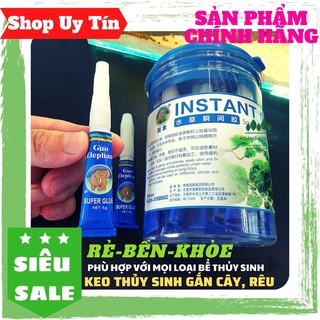 Keo dán thủy sinh giá rẻ - gắn rêu - gắn cây...