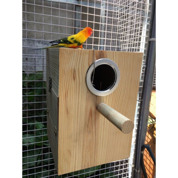 TỔ SUNCONURE, CÁC DÒNG VẸT TRUNG