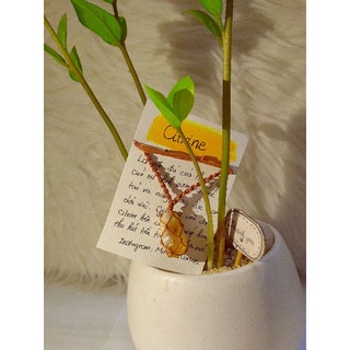 Vòng cổ Citrine macrame