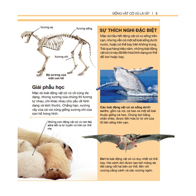 Sách - Bách khoa thiếu nhi động vật có vú (bìa cứng) Tặng Kèm Bookmark