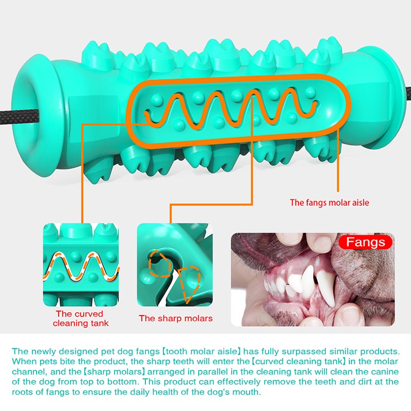 Bộ đồ chơi gặm tập mài răng cho thú cưng