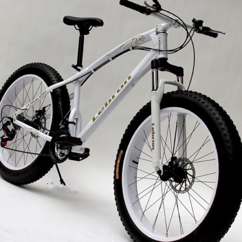 Xe đạp thể thao bánh béo Lebron, xe đạp thể thao leo núi