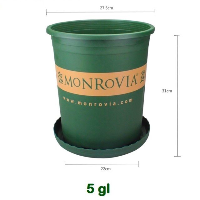 Combo Bộ Chậu MONROVIA 5 Gallon hàng nhập + Đĩa Lót (28x31x22)