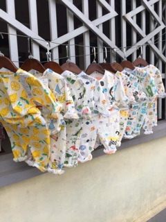 Combo 4b cotton giấy