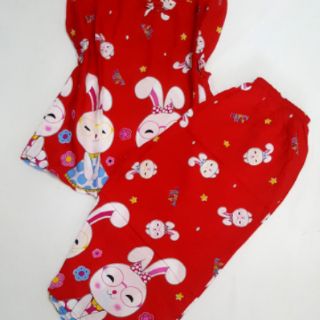 Bộ tole lanh size 2 (50-55 ký)