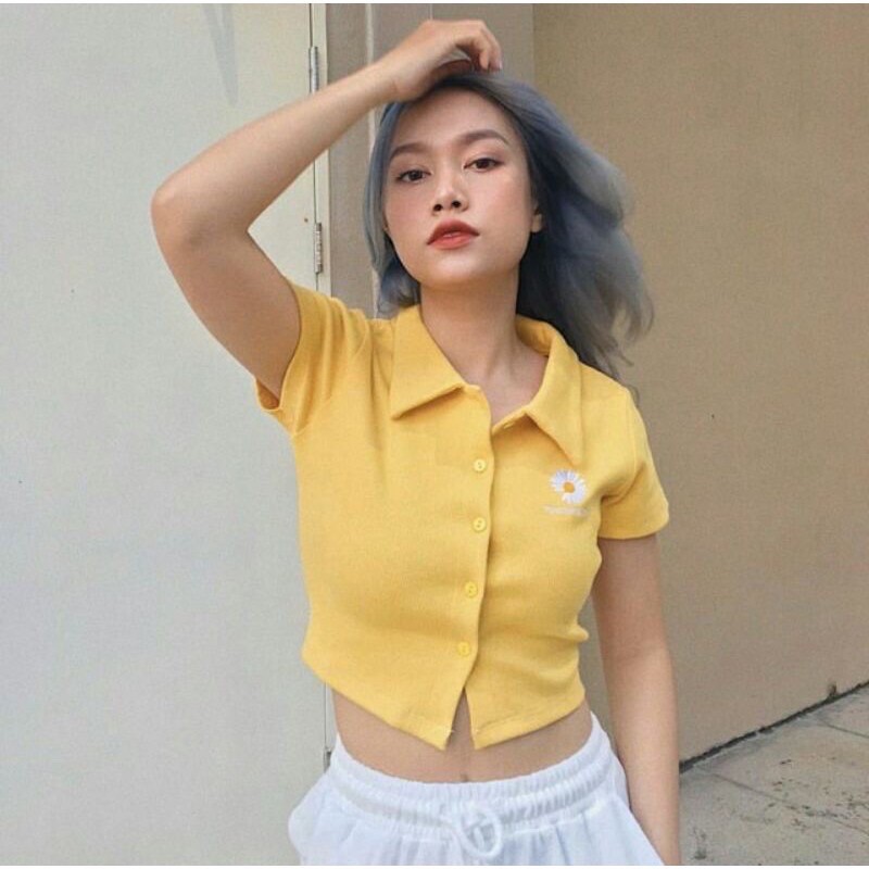 [ Mã WASTAPR giảm 10K đơn 50K] Áo croptop nữ cổ bẻ thêu hoa cúc nhiều màu | BigBuy360 - bigbuy360.vn