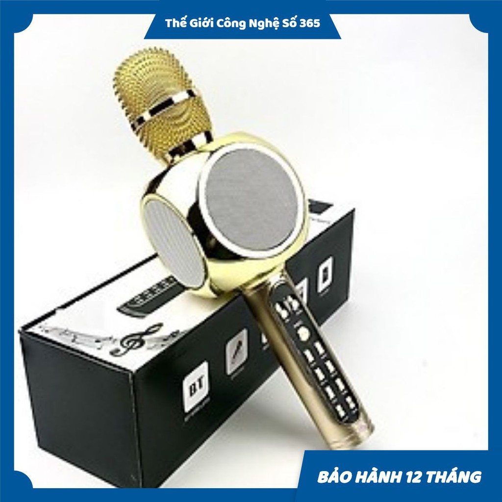 MICRO KARAOKE BLUETOOTH YS90
