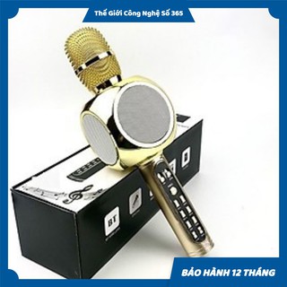 MICRO KARAOKE BLUETOOTH YS90