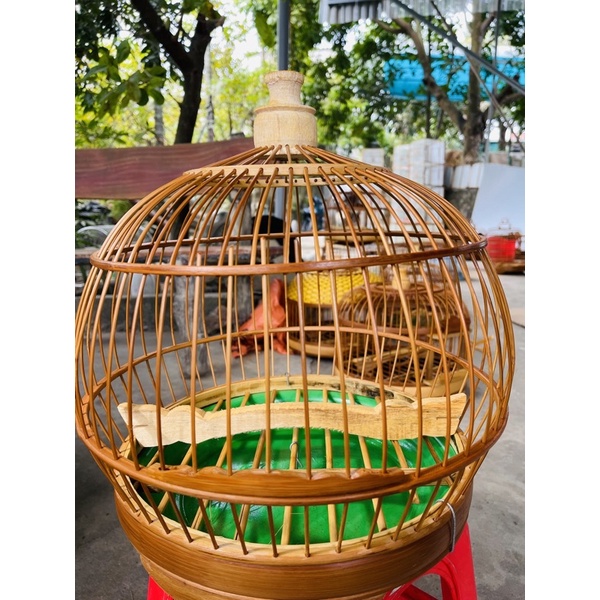 Gáy bầu đáy nhựa