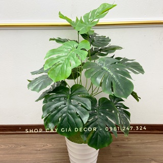 shop cây giả decor