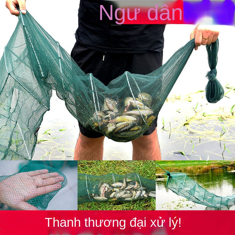 Lưới tôm hùm, lưới tôm hùm, lưới tôm hùm
