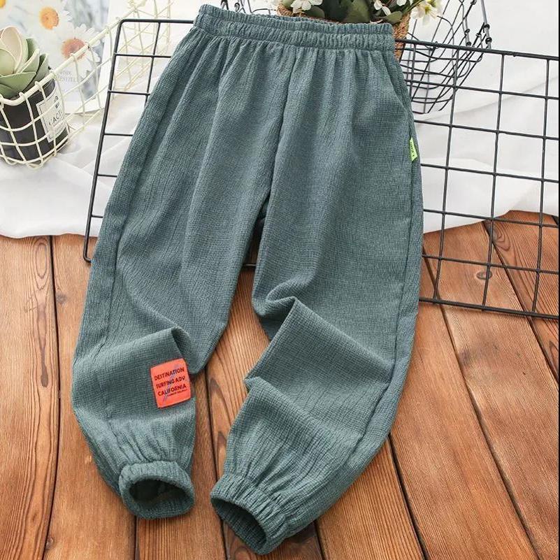 Quần Thể Thao Mỏng Cỡ Vừa Chống Muỗi Phong Cách Đơn Giản Cho Bé Trai