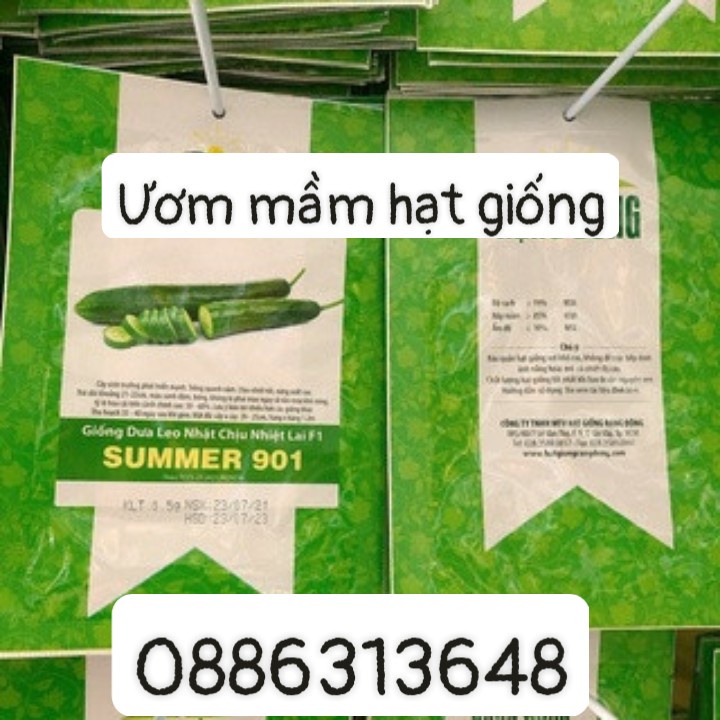 RD Dưa leo nhật chịu nhiệt SUMMER 901