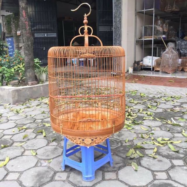 Choè lửa..