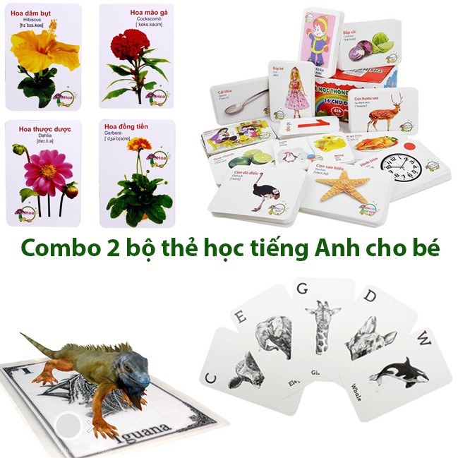 Combo 1 bộ 416 thẻ học song ngữ 16 chủ đề và 1 bộ 31 thẻ động vật 4D để bé học tiếng Anh