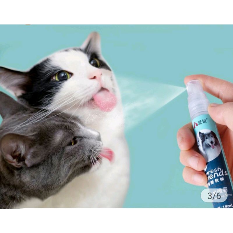 Xịt thơm miệng Fresh Friends cho chó mèo 14ml