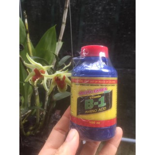 Phân bón vitamin b1 thái lan, chai 100ml