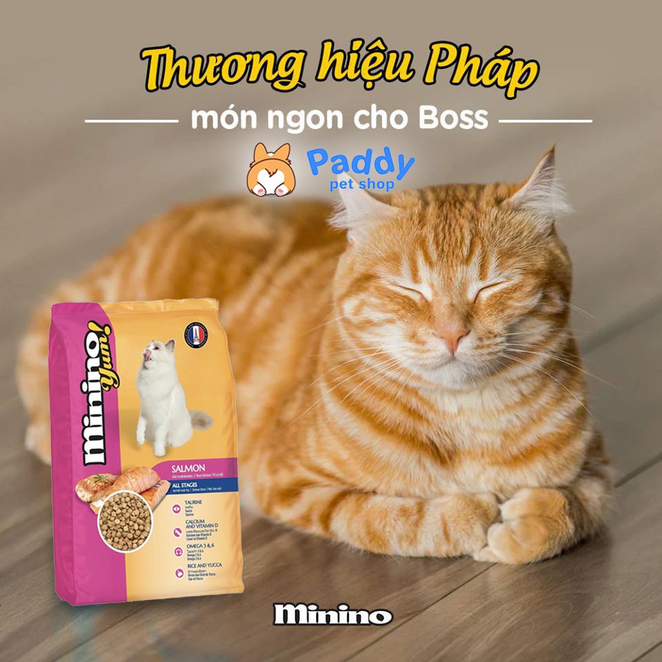 [7kg] Thức Ăn Hạt Cho Mèo Minino Yum Vị Cá Hồi (mèo mọi lứa tuổi) - 20 túi 350g
