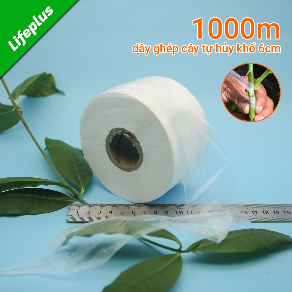 Dây ghép cây tự hủy 1000m khổ 6cm