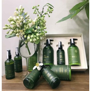 Tinh dầu bưởi Vi Jully kích mọc tóc 100ml ( CHÍNH HÃNG 100%)